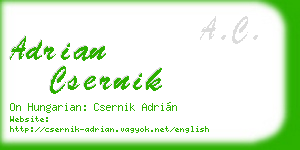 adrian csernik business card