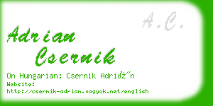 adrian csernik business card